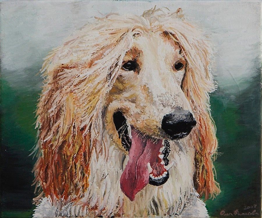 pet commission